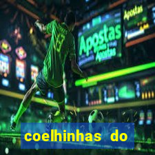 coelhinhas do brasil recife